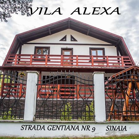 Casa Alexa Sinaia Exterior foto